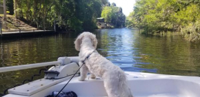 Minutes to boat ramps and beach and private pool!